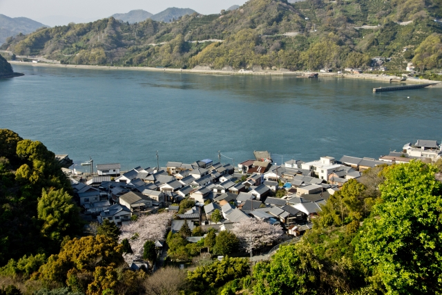 瀬戸内海の島育ちにも関わらず…